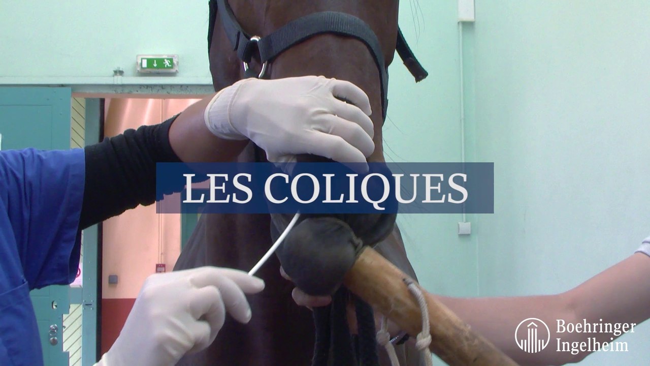 Les coliques