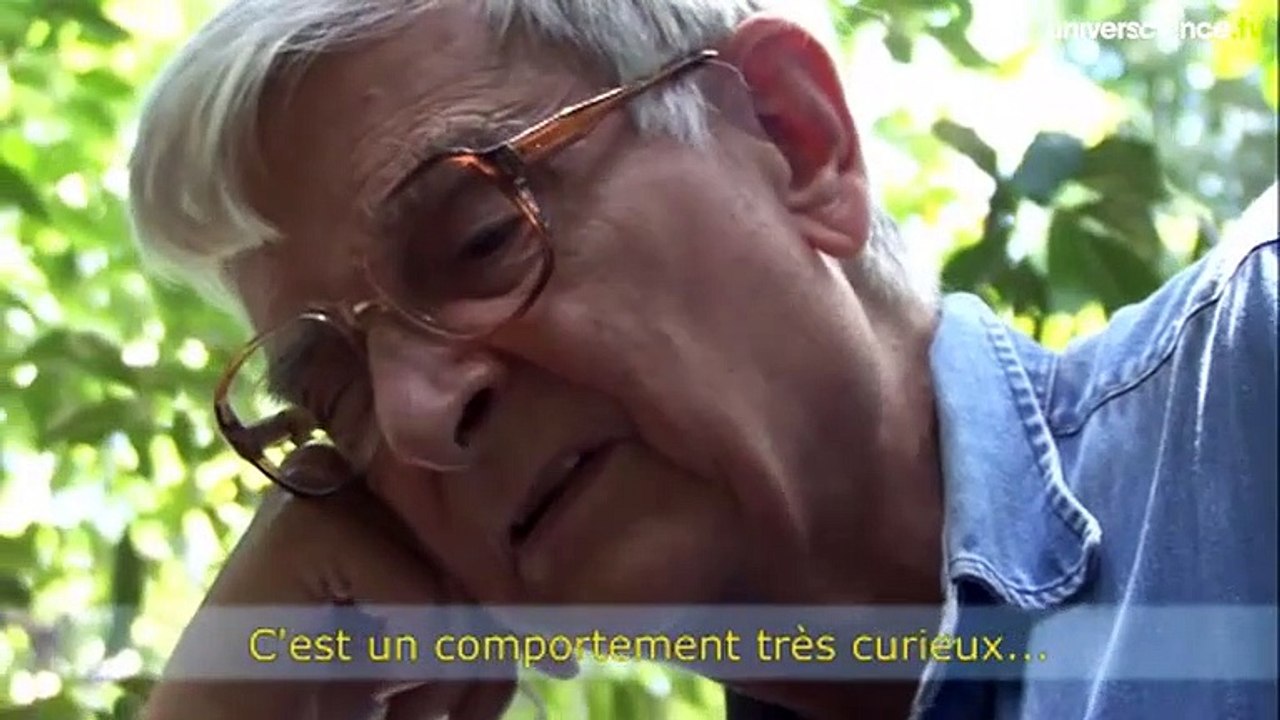 Il était une fois... les îles