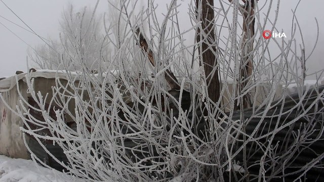 Ağrı’da yoğun sis nedeniyle uçak seferleri iptal edildi