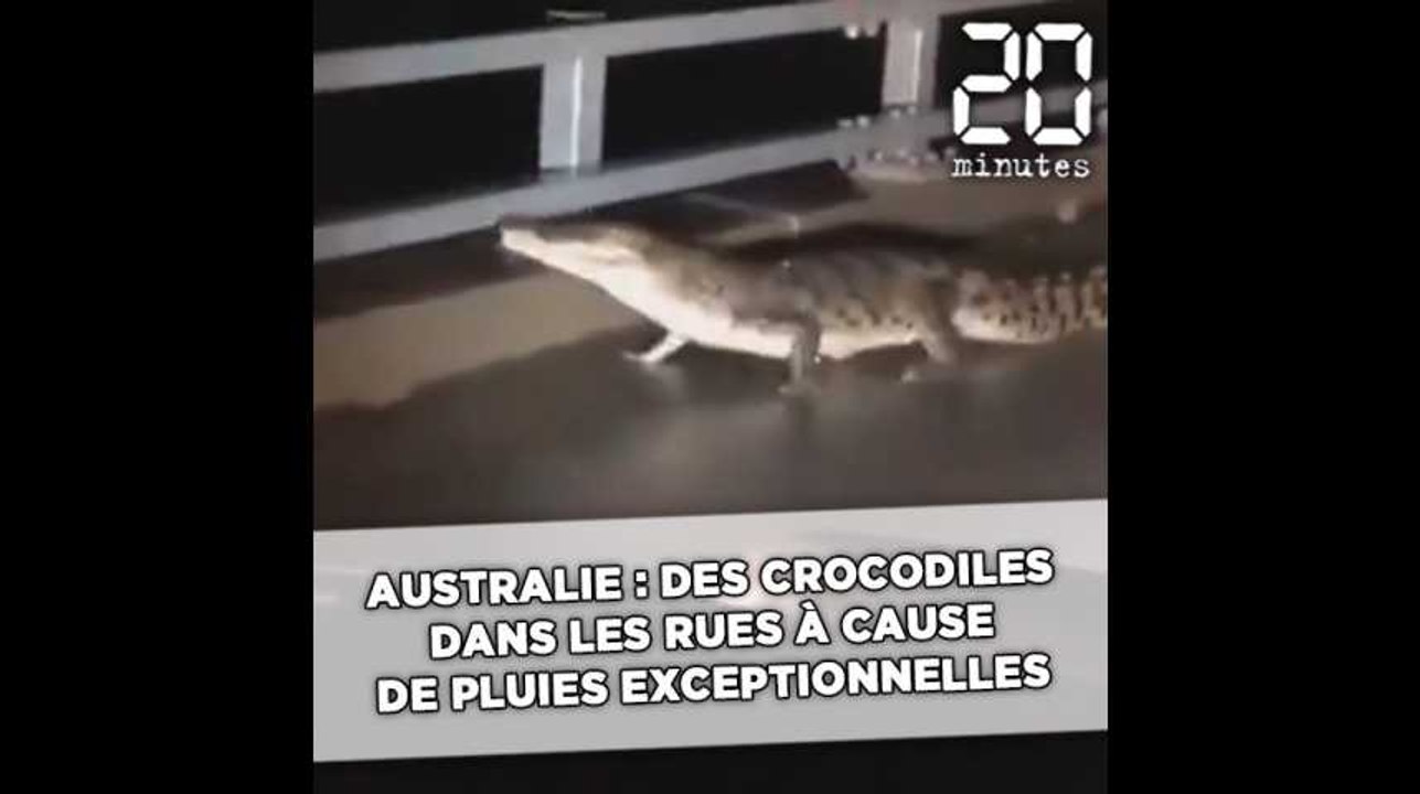 Australie: Des crocodiles dans les rues à cause de pluies de mousson exceptionnelles