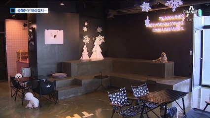 ‘명절 유기견’ 막아라…구청 “반려견 맡아줍니다”