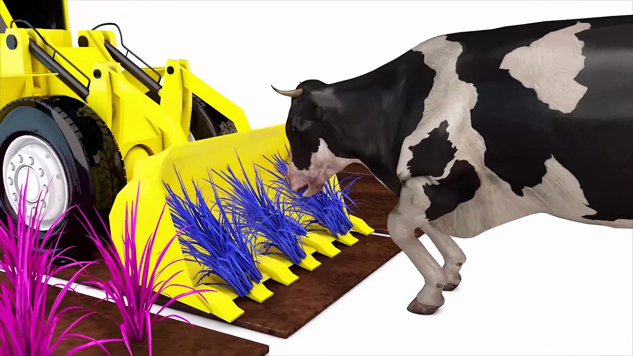 Cow Cow Bulldozer Truck | Learn Shapes Cow Grass W cartn 3D Nursery Rhymes | Songs For Children