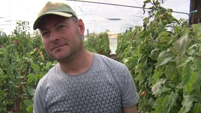 Zgjodhën tokën në vend të emigrimit, fermerët: Duam subvencione - Top Channel Albania - News - Lajme