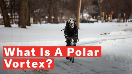 What Is A Polar Vortex?