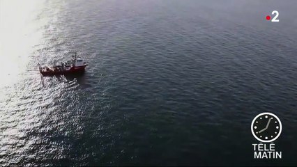 Disparition d'Emiliano Sala : l'épave de l'avion a été retrouvée