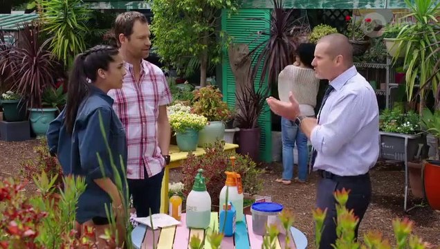 Neighbours 8031 4th February 2019