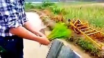 Rice Planting Machine