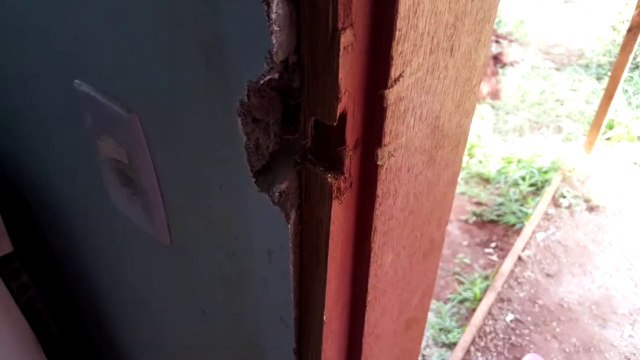 Ladrão invade casa e não perdoa nem roupas e alimentos