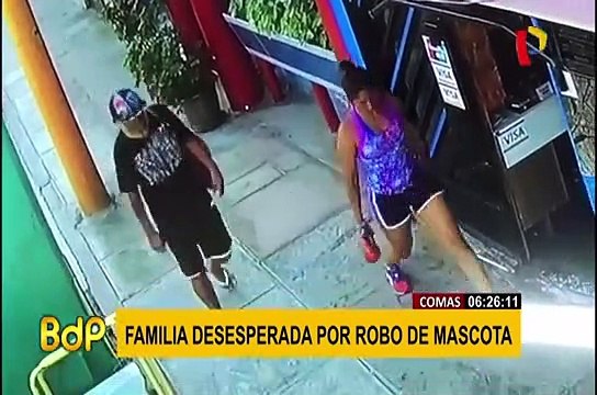 Familia denuncia robo de mascota en la puerta de su casa en Comas