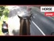 Cyclist lands himself hefty fine after high-speed collision while undertaking horse | SWNS TV