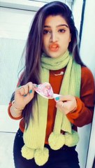 funny artist dub mimicry