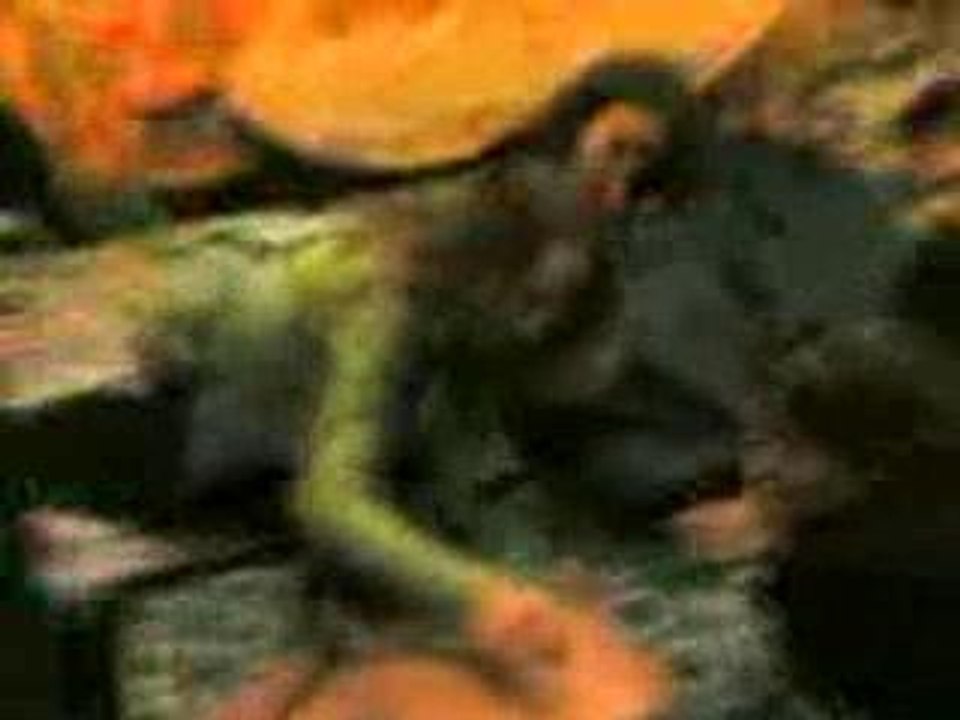 moa victim
