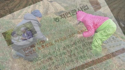 농민 노후는 '농지연금'으로...꿩 먹고 알 먹고! / YTN