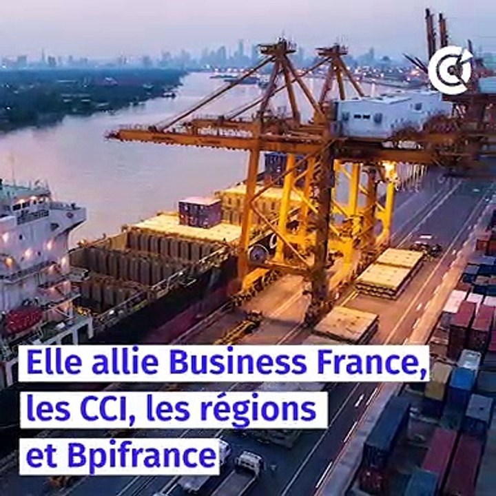 Qu'est-ce que la Team France Export ?
