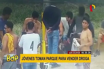 Los Olivos: vecinos denuncian que parque es tomado para vender drogas