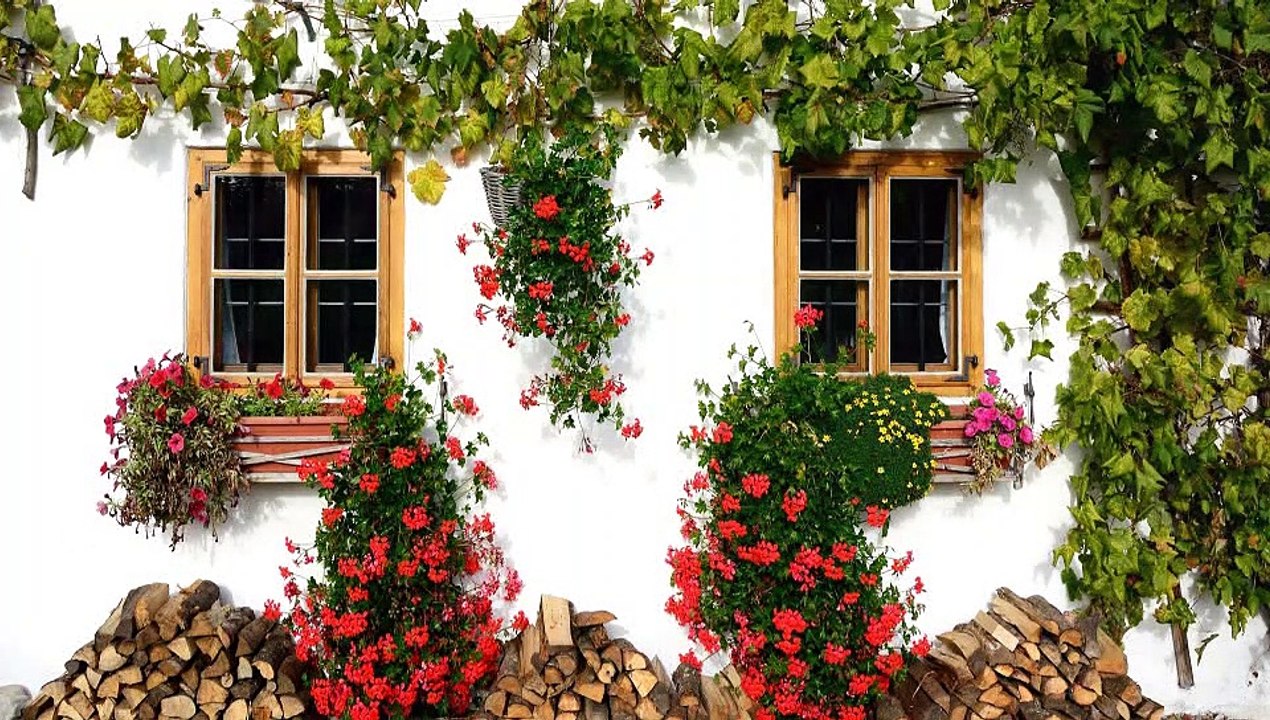 La casa encantada (Anónimo). Declama Tintero creativo