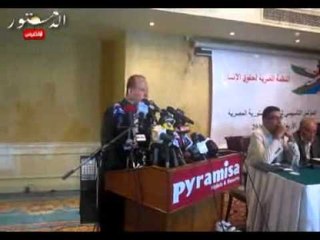 عبد الغنى: التيار الإسلامى السياسى اختطف الدستور