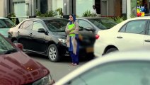 Bisaat e Dil Epi 29 HUM TV Drama 4 February 2019