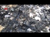 شاهد..الإخوان يحرقون المصاحف امام مسجد الفتح لأتهام الأمن
