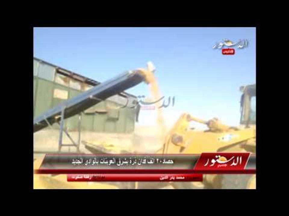 حصاد20 ألف فدان ذرة بشرق العوينات بالوادي الجديد