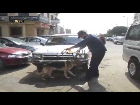 تعقيم امنى بالكلاب البوليسية على المنشأت الحيوية بالدقهلية