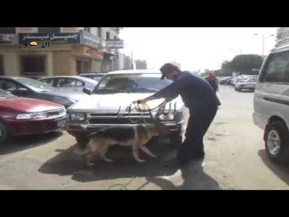 تعقيم امنى بالكلاب البوليسية على المنشأت الحيوي...