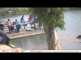 تعذيب "كلب" بالغرق في النيل على يد "سائقي توك توك"