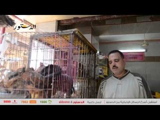 "الدستور" ترصد تغيرًا طفيفًا في أسعار الخضر والفاكهة .. اليوم