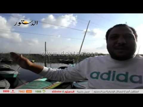 الإهمال يُفقد بحيرة مريوط 34 ألف فدان من مساحتها.. والخسائر 160 طن أسماك