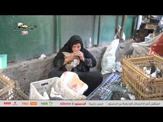 الدستور ترصد استقرار أسعار "الخضراوات" و"الدواجن" بالأسواق اليوم