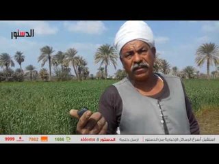 الدستور | "السم الأسود" شركات بترول تدمر الأرض الزراعية.. وتهدد حياة الآلاف (تحقيق)