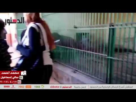 الدستور | أهالي بني سويف يتوافدون على حديقة الحيوان في شم النسيم