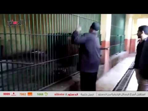 الدستور | أهالى بنى سويف يحتفلون بعيد الفطر فى حديقة الحيوان