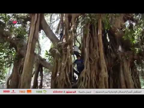 الدستور | ضحك ولعب حديقة الحيوان في أول أيام عيد الفطر