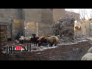 الدستور | «الخرفان» تسكن منزل «الغيطانى» بالجمالية