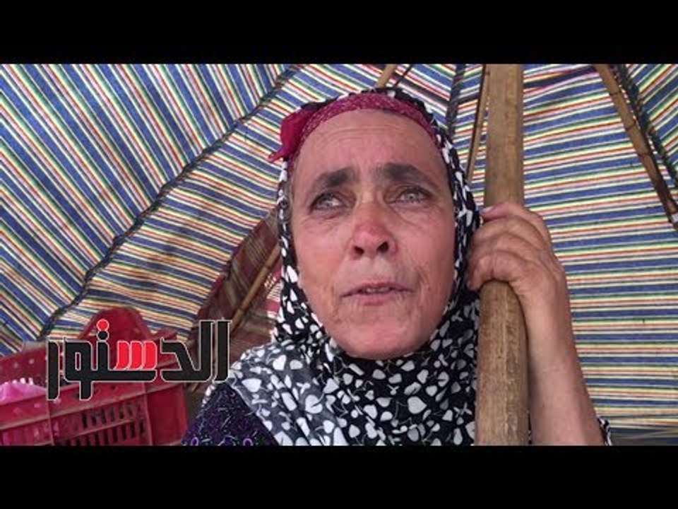 الدستور | بائعو الفاكهة: تجار الجملة سبب ارتفاع الأسعار