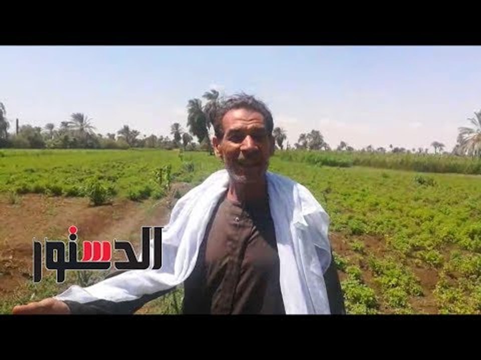 الدستور | فى عيد الفلاح.. الدستور ترصد مطالب الفلاحين في بني سويف