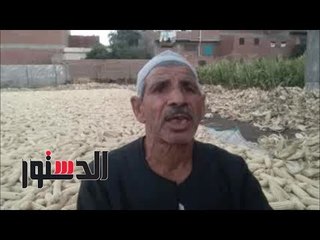 الدستور | "الدستور" ترصد مشاكل ومطالب المزراعين بالبحيرة