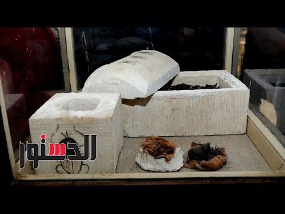 الدستور | قطط الفراعنة.. الدستور داخل الكشف الأثرى الجديد