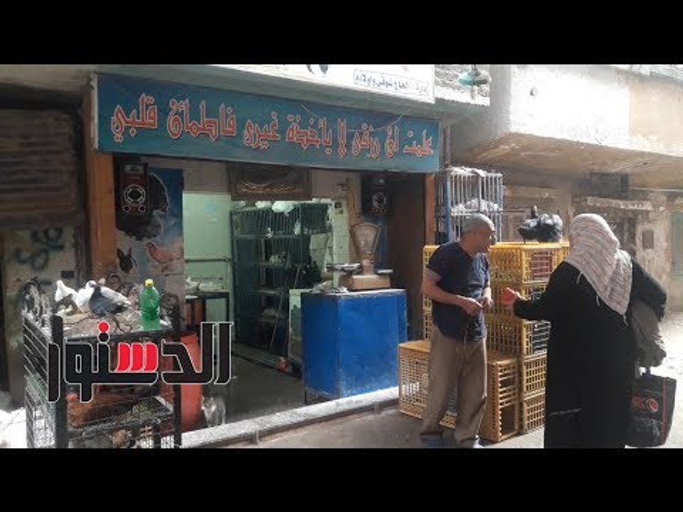 الدستور | رغم انخفاض أسعارها.. تجار الدواجن: "م...