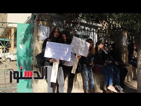 الدستور | وقفة احتجاجية أمام الزراعة احتجاجًا على تصدير الكلاب