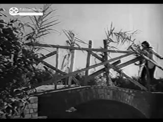 Anwara 1970 : Mera Pyar Na Dilon Bhulavin Mere Sohneya Sajna : Noorjehan MD Tafo : L Khwaja Parvez