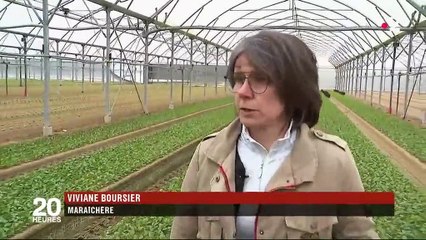 Loire-Atlantique : les entreprises recrutent des migrants