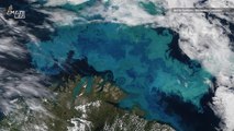 Climate Change Will Alter the Color of Half Our Oceans, Study Finds
