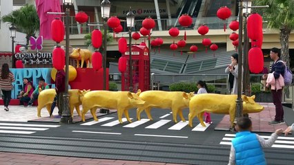 Taïwan et Hong Kong à fond dans l'année du cochon