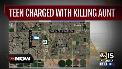 14-year-old arrested in murder of aunt in Sun Lakes