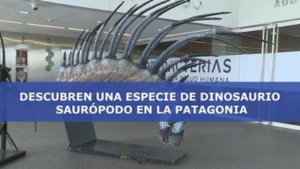 Descubren una especie de dinosaurio saurópodo en la Patagonia