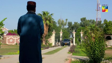 Bisaat e Dil Episode #30 HUM TV Drama 5 February 2019