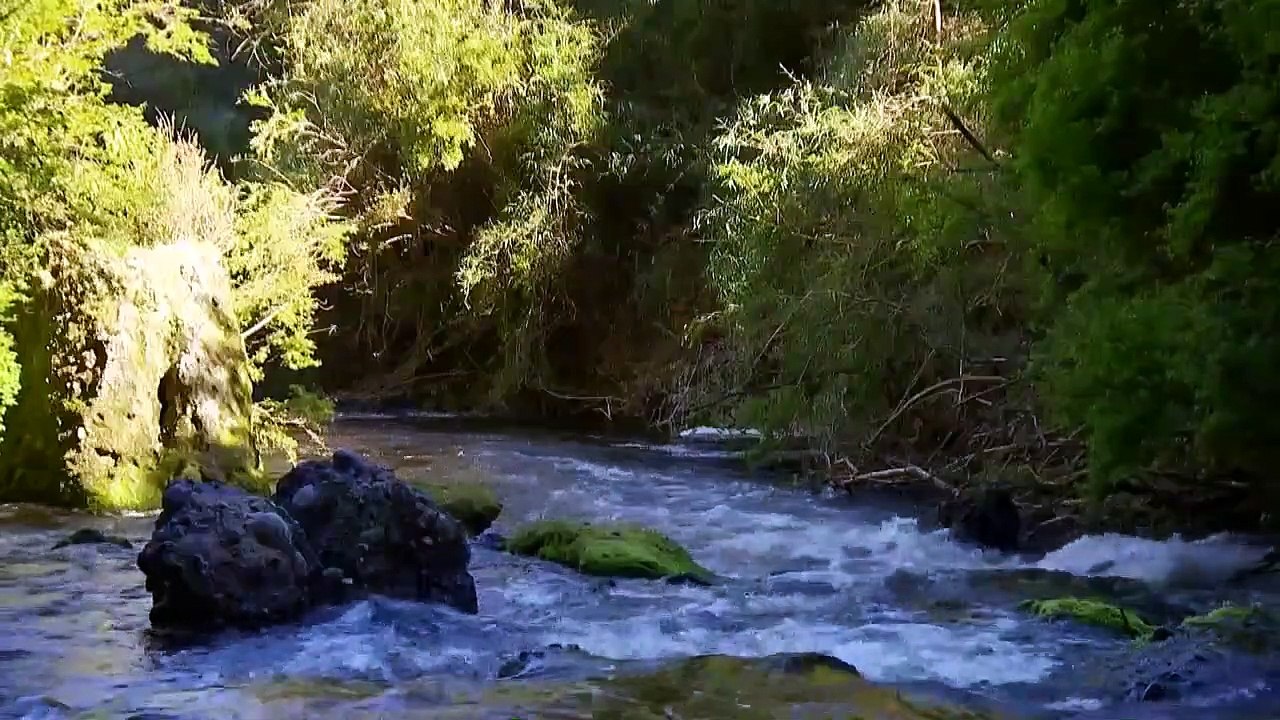 Isla Paraiso Capitulo 83 Full HD
