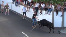 MEDIR FORÇAS - HOMEM VS TOURO